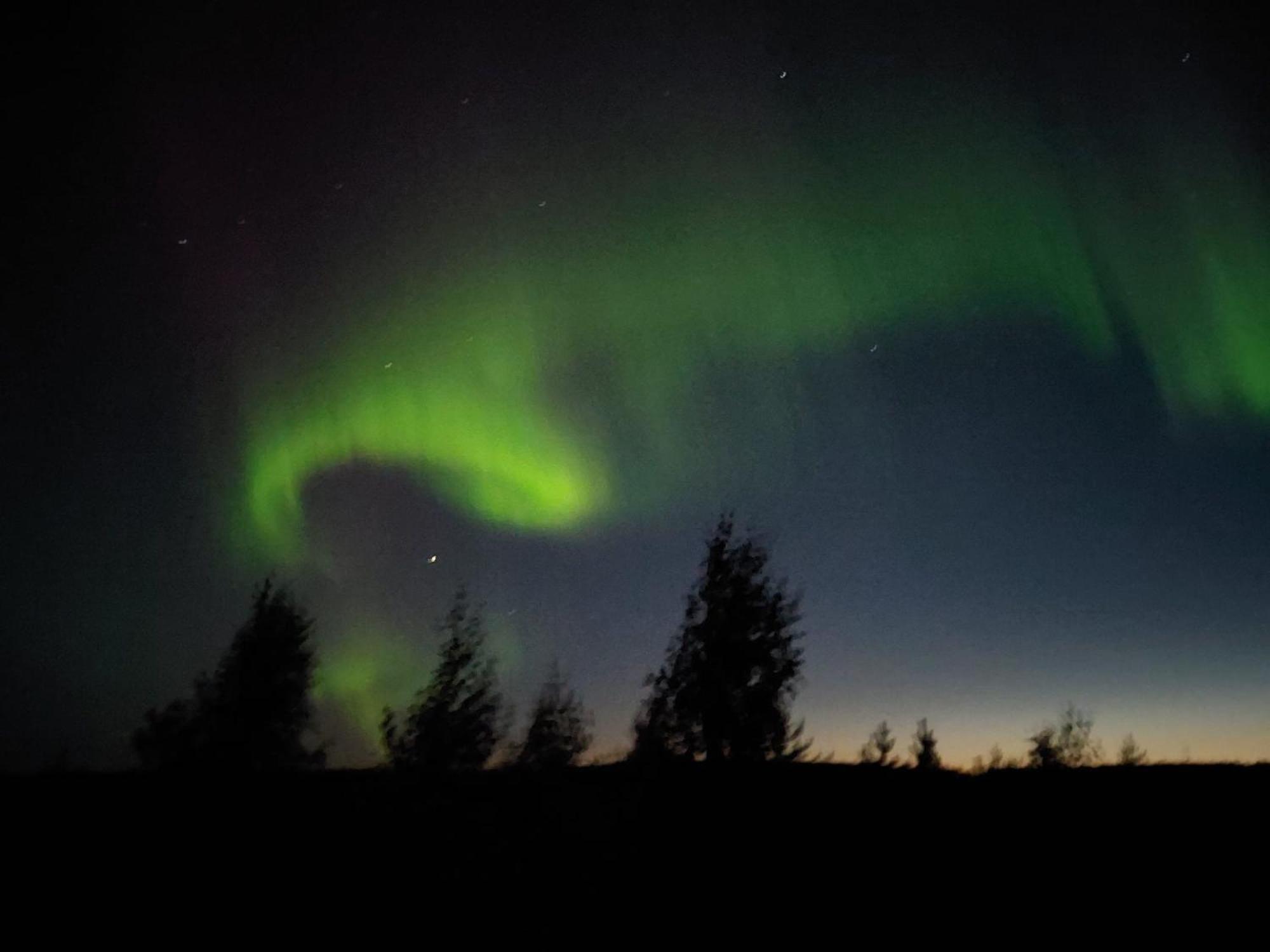 Lapland Forest Lodge Rovaniemi Bagian luar foto